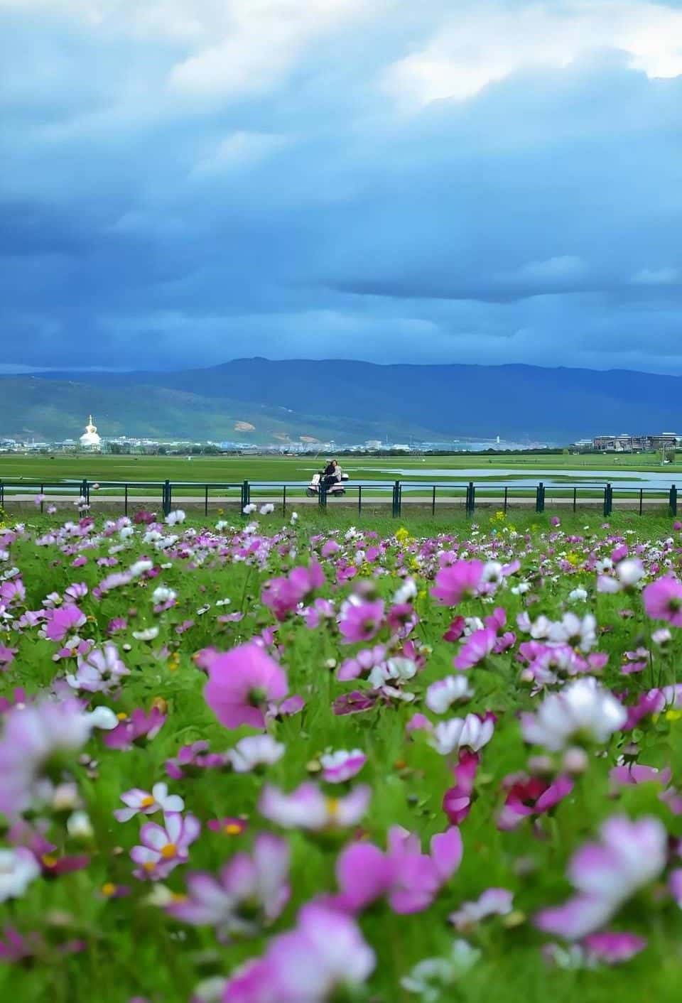 Shangri-La Top Highlights Day Trip (Round-Trip from Lijiang) Trips and Day Trips2
