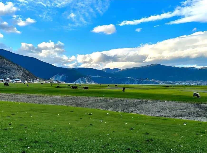 Shangri-La Top Highlights Day Trip (Round-Trip from Lijiang) Trips and Day Trips3