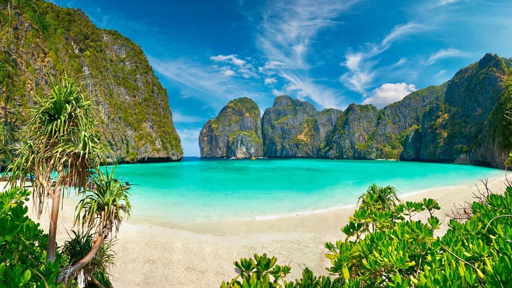 Early Bird Phi Phi Islands, Maya Bay, Bamboo Island, Chicken Island by Speedboat Trips and Day Trips4