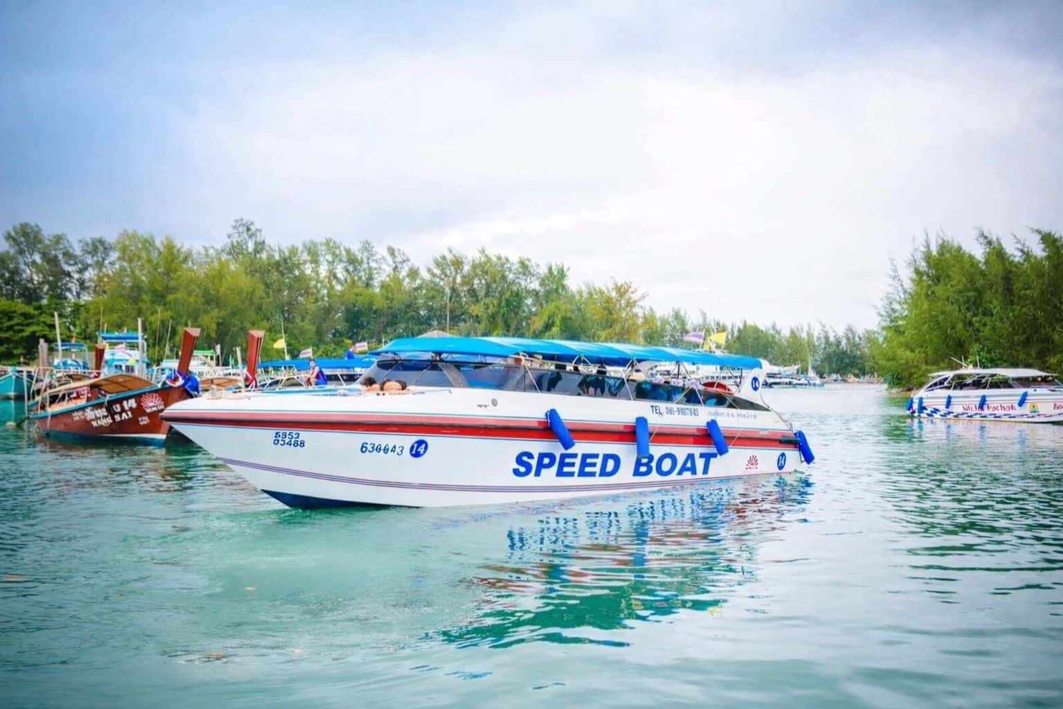 Early Bird Phi Phi Islands, Maya Bay, Bamboo Island, Chicken Island by Speedboat Trips and Day Trips2