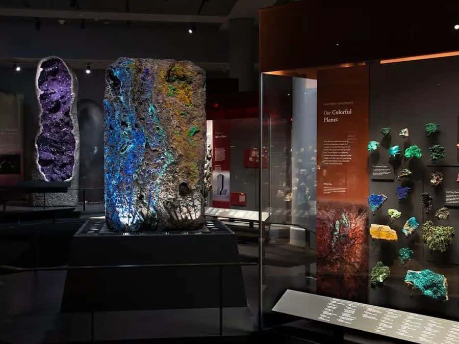 American Museum of Natural History Ticket2