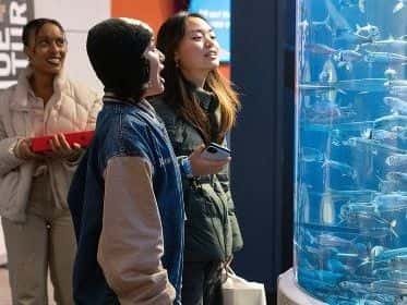 Aquarium of the Bay General Admission Ticket3