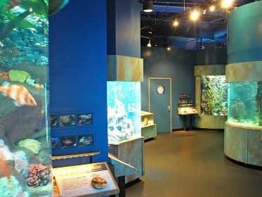 Aquarium of the Bay General Admission Ticket4