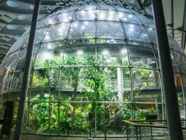 California Academy of Sciences3