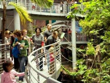 California Academy of Sciences4