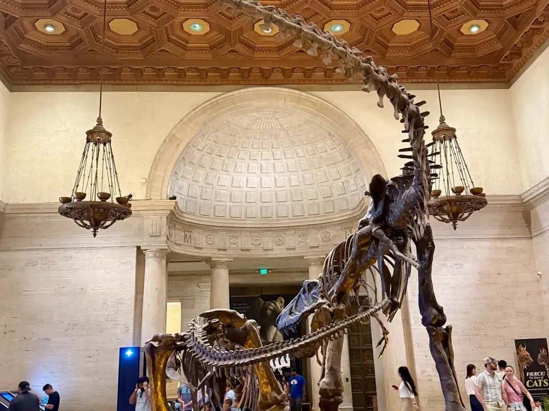 Natural History Museum of Los Angeles County1