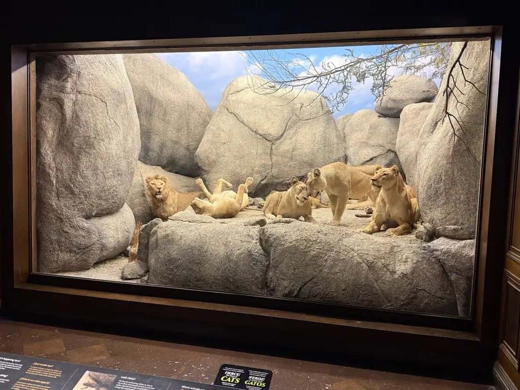 Natural History Museum of Los Angeles County2