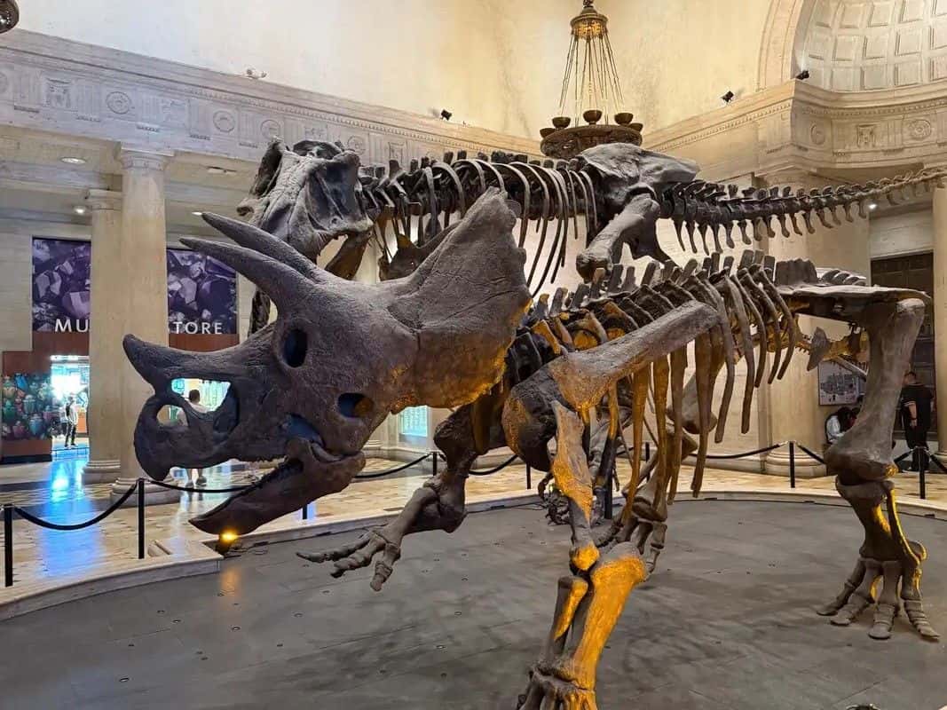 Natural History Museum of Los Angeles County3