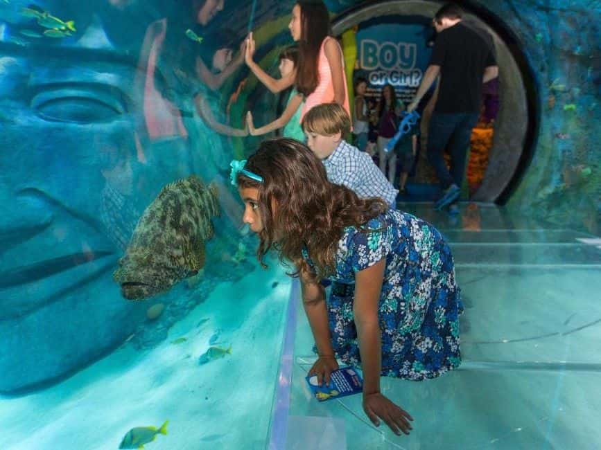Sea Life Orlando Aquarium Ticket1