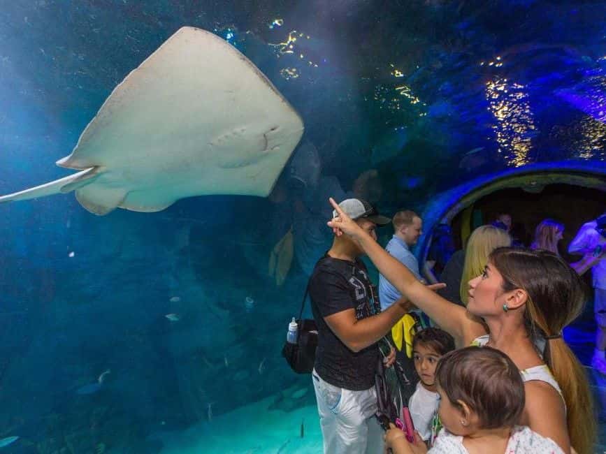 Sea Life Orlando Aquarium Ticket2