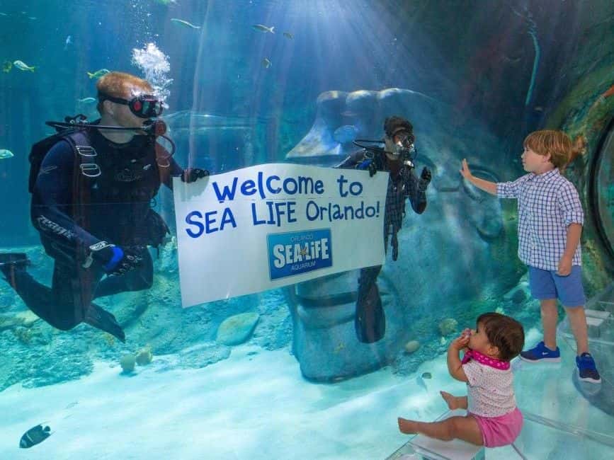 Sea Life Orlando Aquarium Ticket3