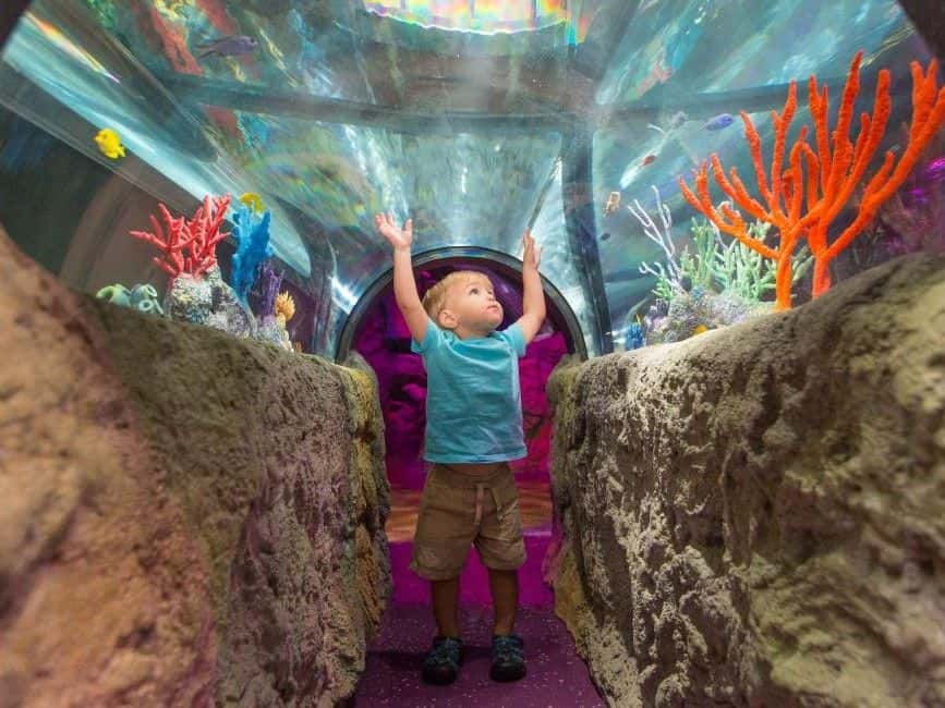 Sea Life Orlando Aquarium Ticket4