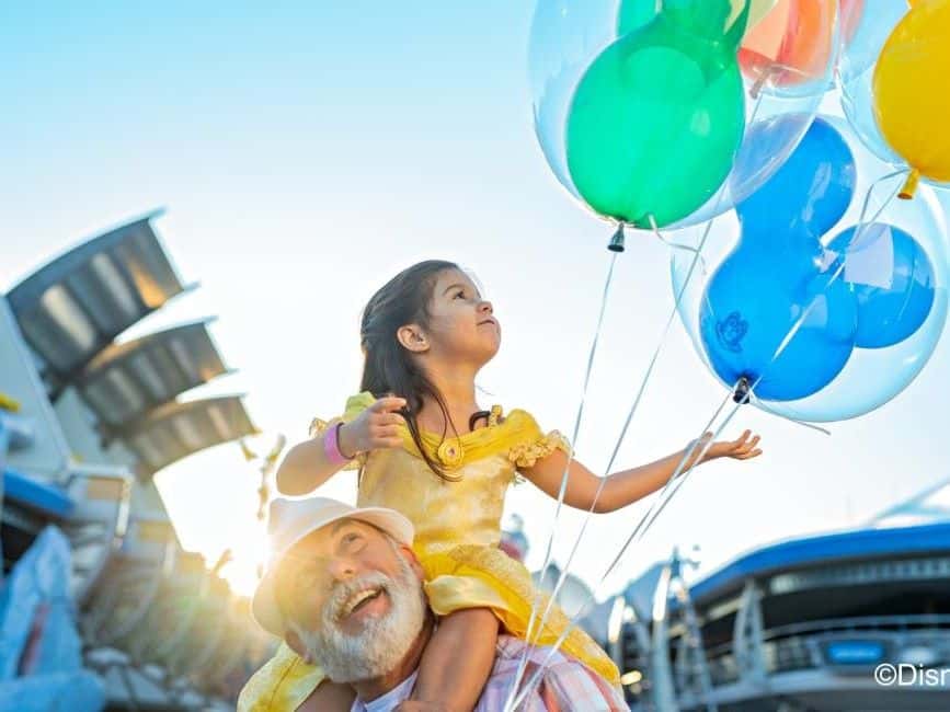 Walt Disney World Resort3