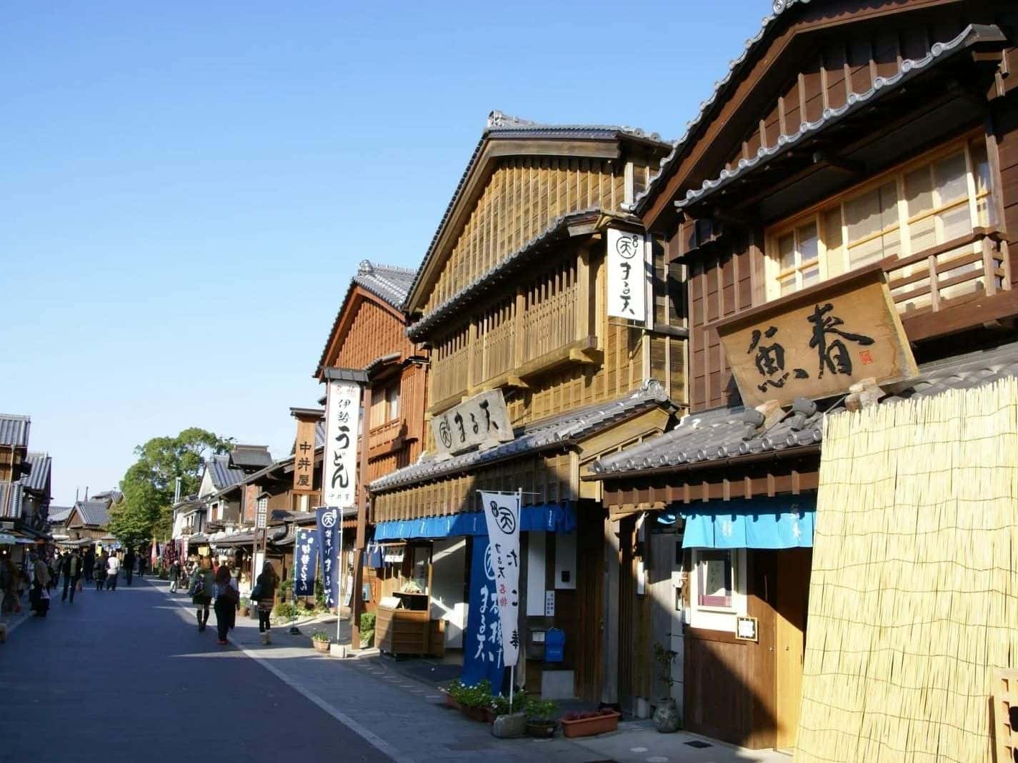 KINTETSU RAIL PASS (Valid for 180 days)1