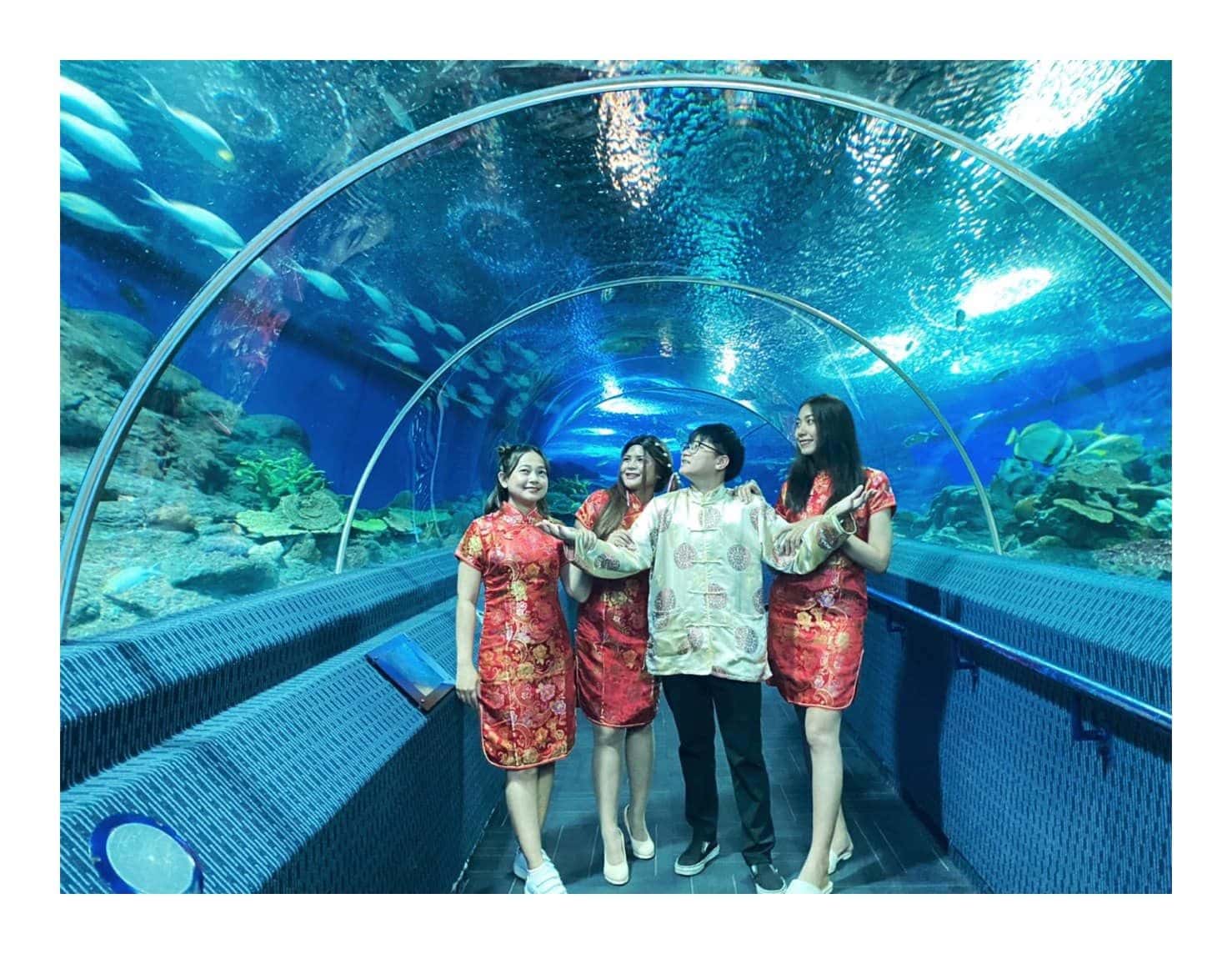 พิพิธภัณฑ์โลกใต้น้ำ พัทยา (Underwater World Pattaya)1