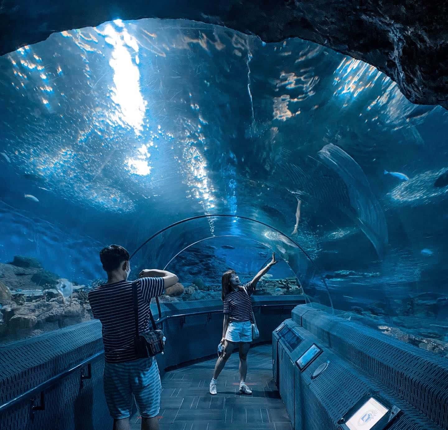 พิพิธภัณฑ์โลกใต้น้ำ พัทยา (Underwater World Pattaya)2