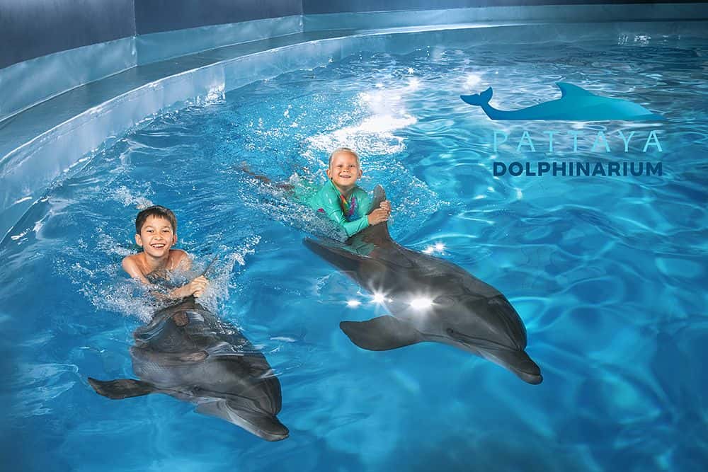 ดอลฟินนาเรียมพัทยา (Pattaya Dolphinarium)1