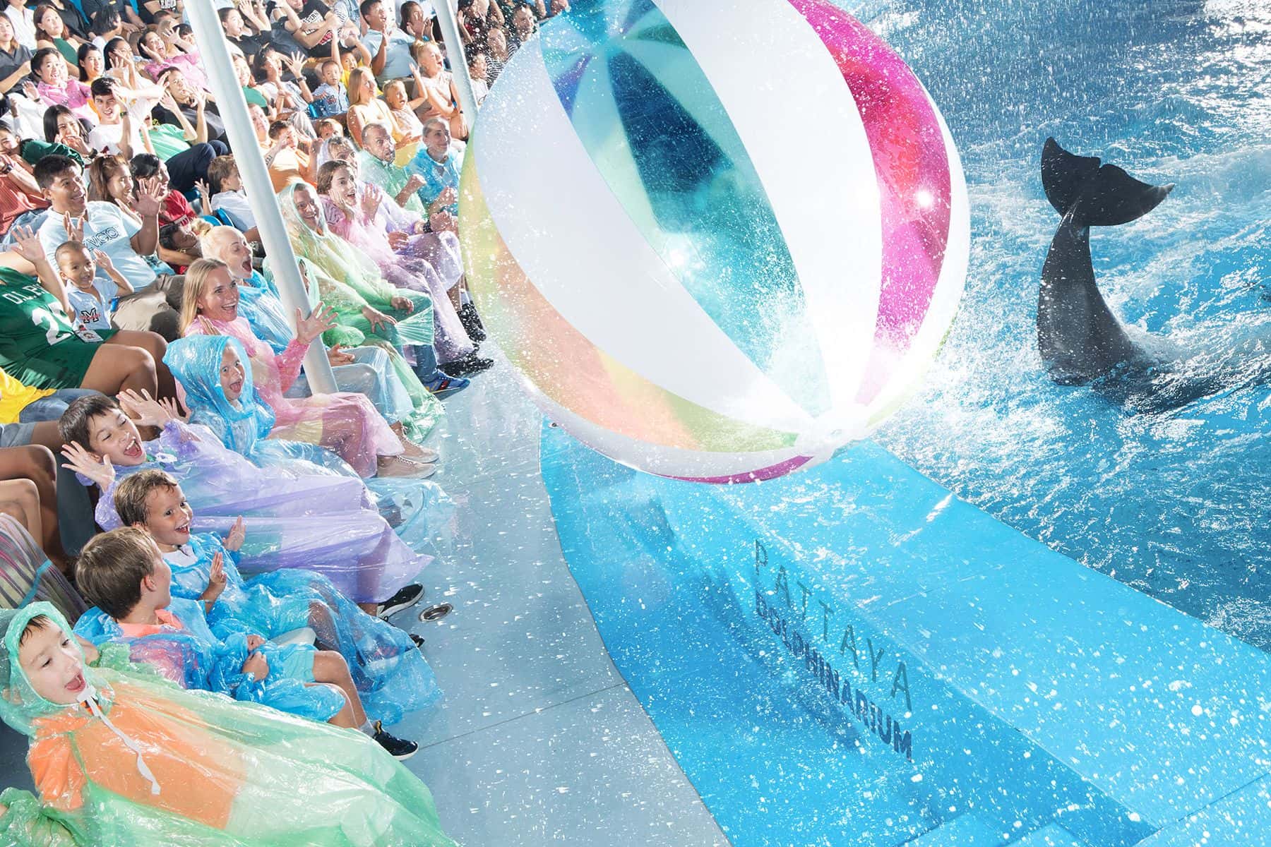 ดอลฟินนาเรียมพัทยา (Pattaya Dolphinarium)4