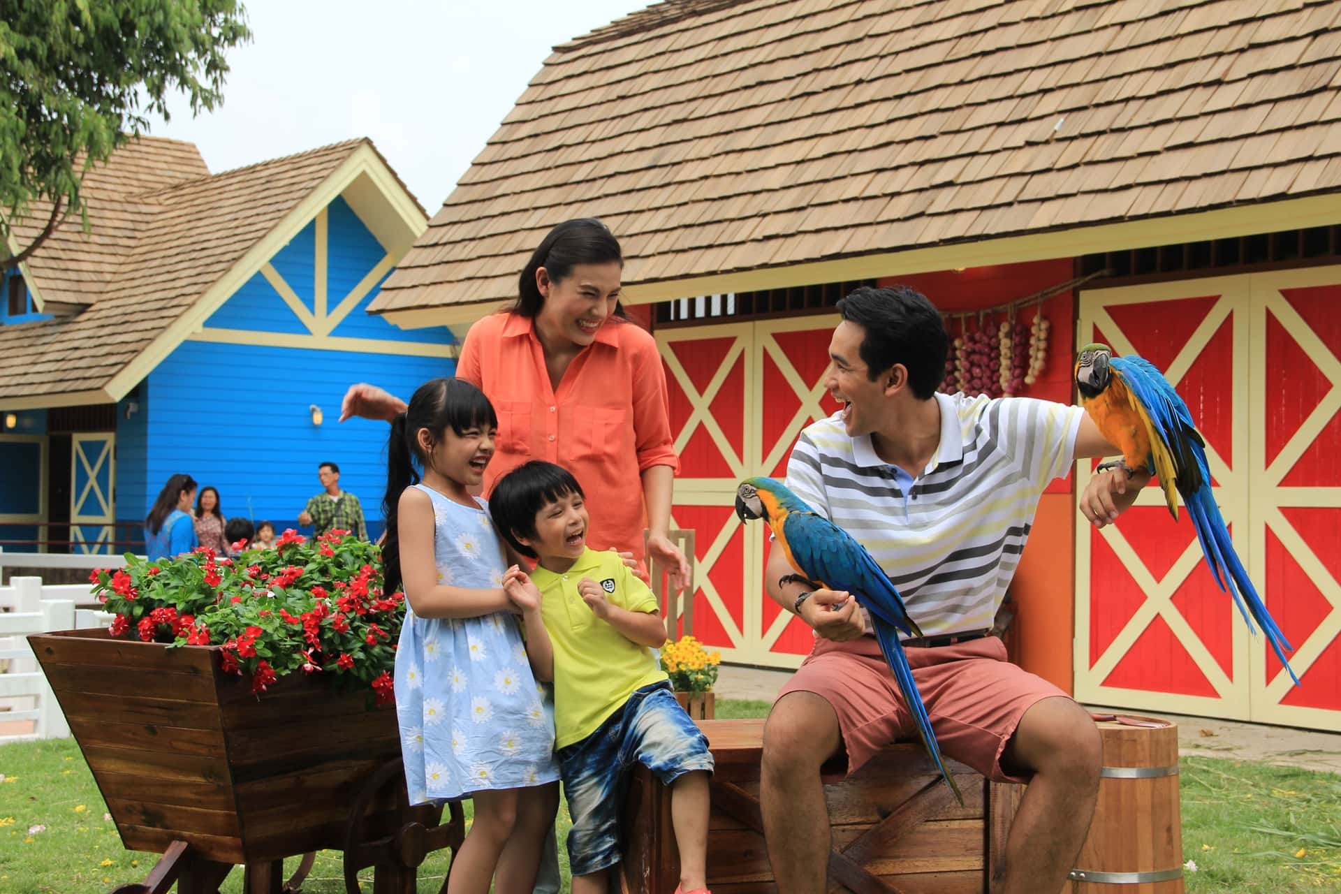 สวนสนุกดรีมเวิลด์กรุงเทพ พร้อมริการรับส่งไป-กลับ3