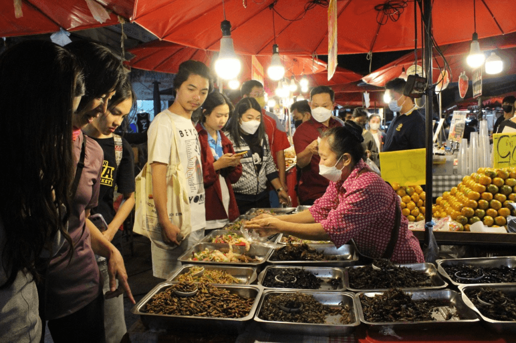 ทัวร์ปั่นจักรยานชมเมืองเชียงใหม่ยามราตรี2