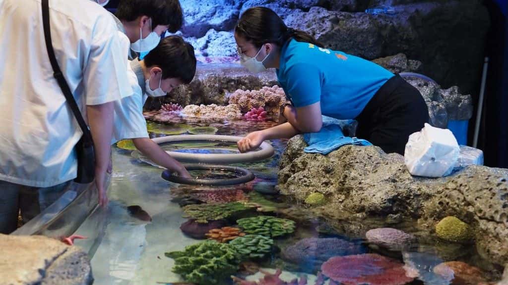 บัตรเข้า SEA LIFE Bangkok Ocean World และ Madame Tussauds Bangkok แบบไม่ต้องต่อคิว4