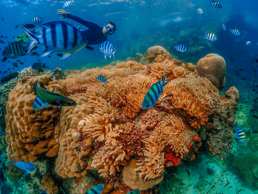 ทัวร์เกาะพัทยา สัมผัสประสบการณ์หาดทรายสไตล์ยุโรป (เกาะล้าน)1