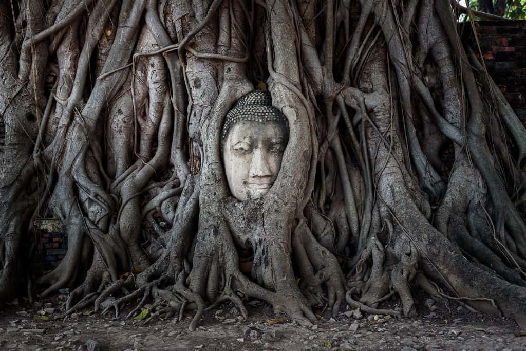 ทริปไหว้พระวัดดังกรุงเทพ-อยุธยา (รถตู้ VIP) ทริปเที่ยว และเดย์ทริป2