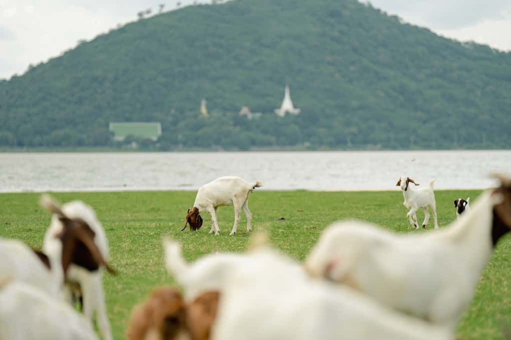 ท่องเที่ยวเมืองรองพร้อมช่างภาพ ที่บ้านท่าฤทธิ์ สระบุรี ทริปเที่ยว และเดย์ทริป4