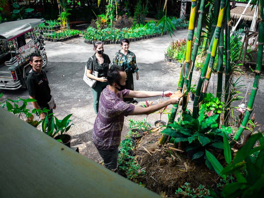 Bamboo Bark Workshop & Organic Vegetable Cookie Making (with Photographer) Trips and Day Trips1