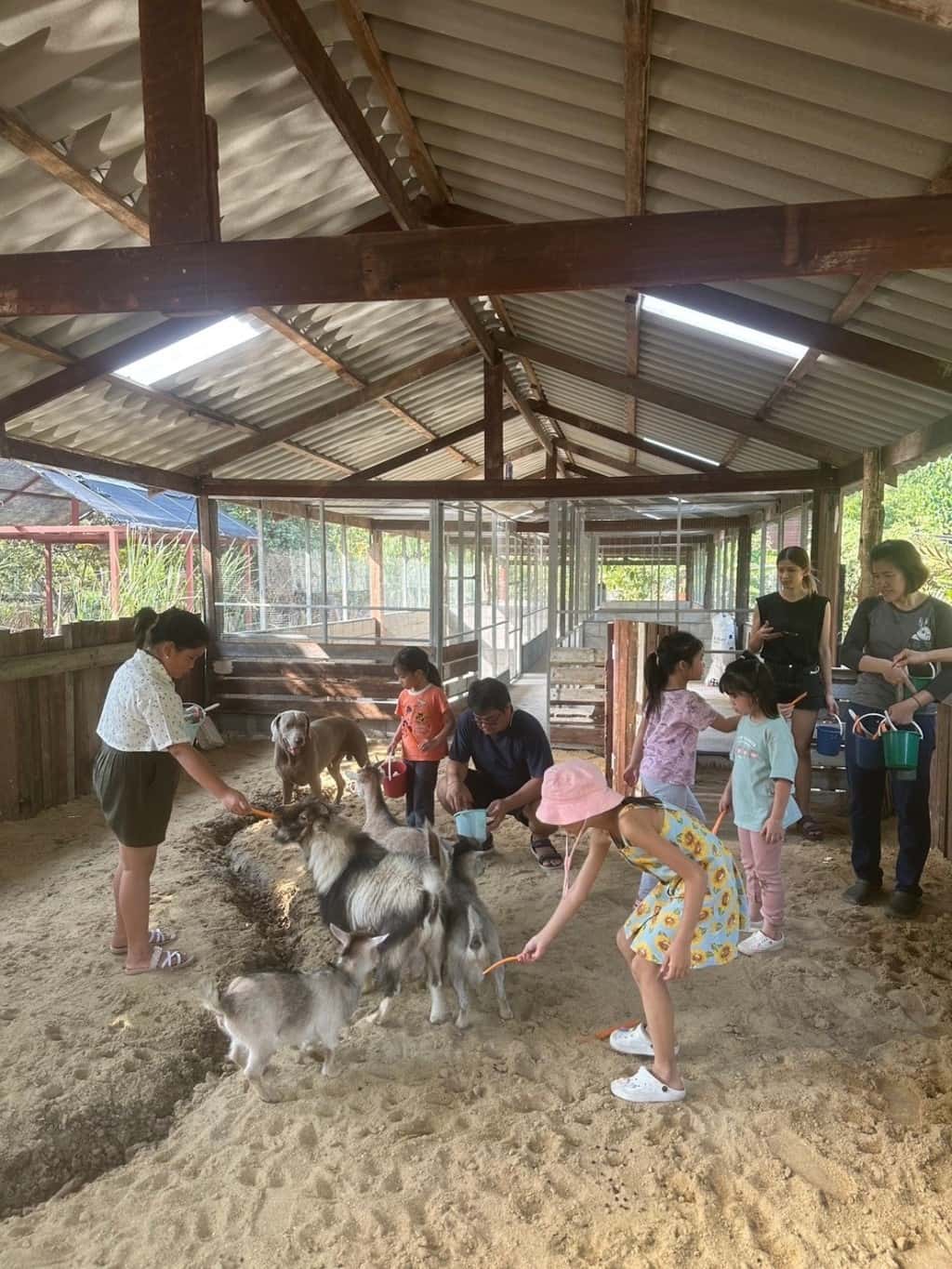 One Day Camp for family at Get Growing Community Farm Trips and Day Trips3