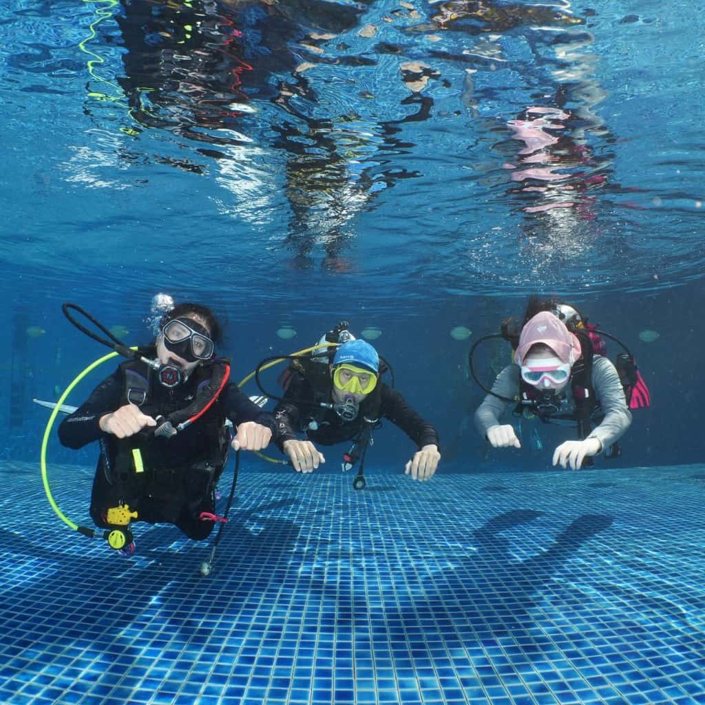 Trial Scuba Diving lesson in Pool (Half Day) Trips and Day Trips3
