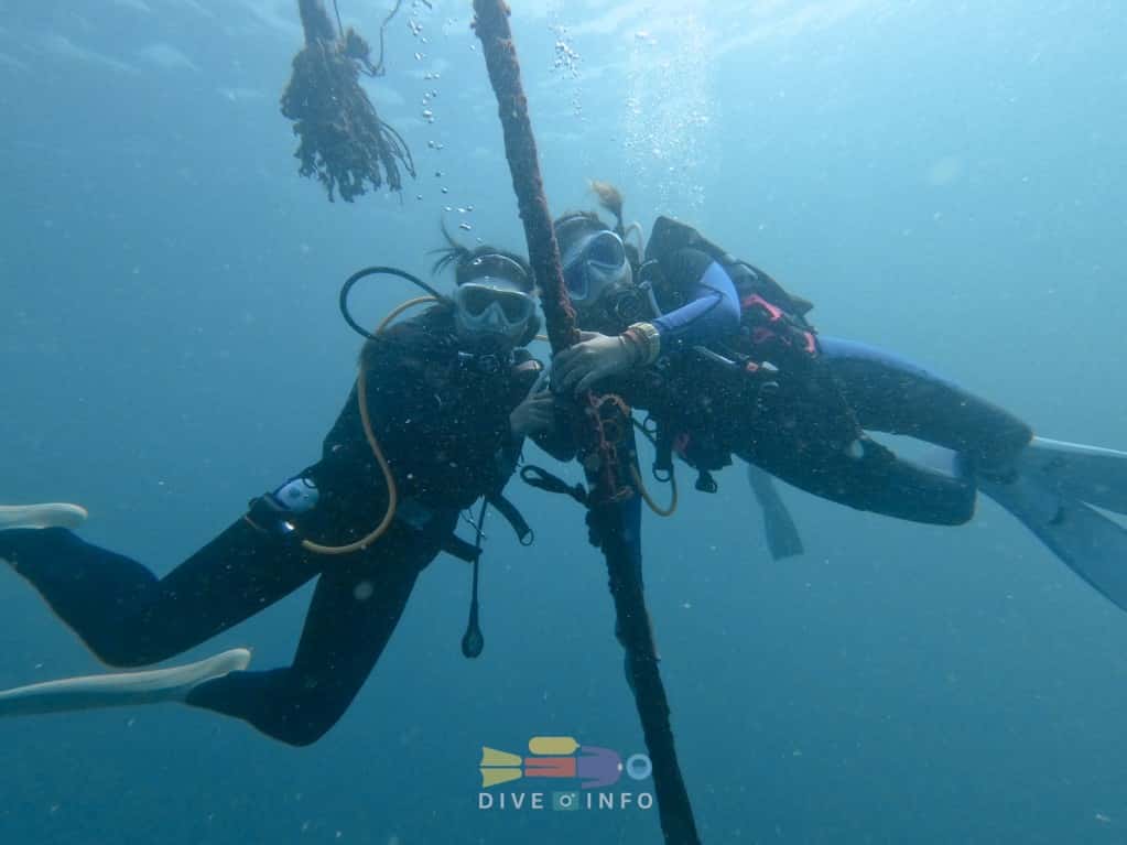 Rescue Diver Course: Diving Problem-Solving (Theory and Pool Practice + 2-Day Sea Diving at Saemsarn or Pattaya) (Excludes Travel and Accommodation) Trips and Day Trips3