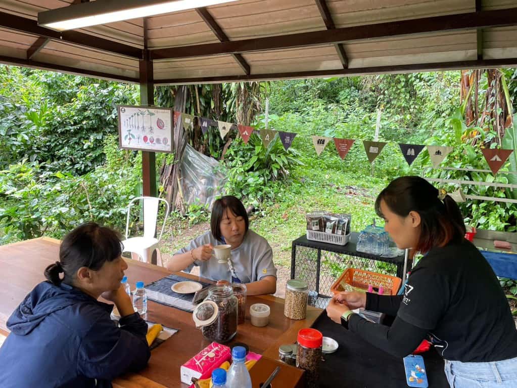 โปรแกรมทัวร์ฟาร์มกาแฟ ทริปเที่ยว และเดย์ทริป3