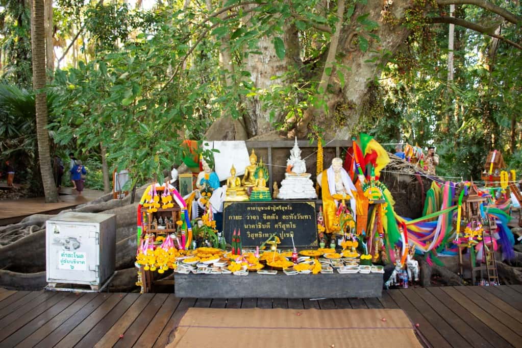 ทริปสักการะปู่ศรีสุทโธและย่าศรีปทุมมานาคราช ที่คำชะโนด จังหวัดอุดรธานี (พร้อมรถรับ-ส่งจากสนามบิน) ทริปเที่ยว และเดย์ทริป1