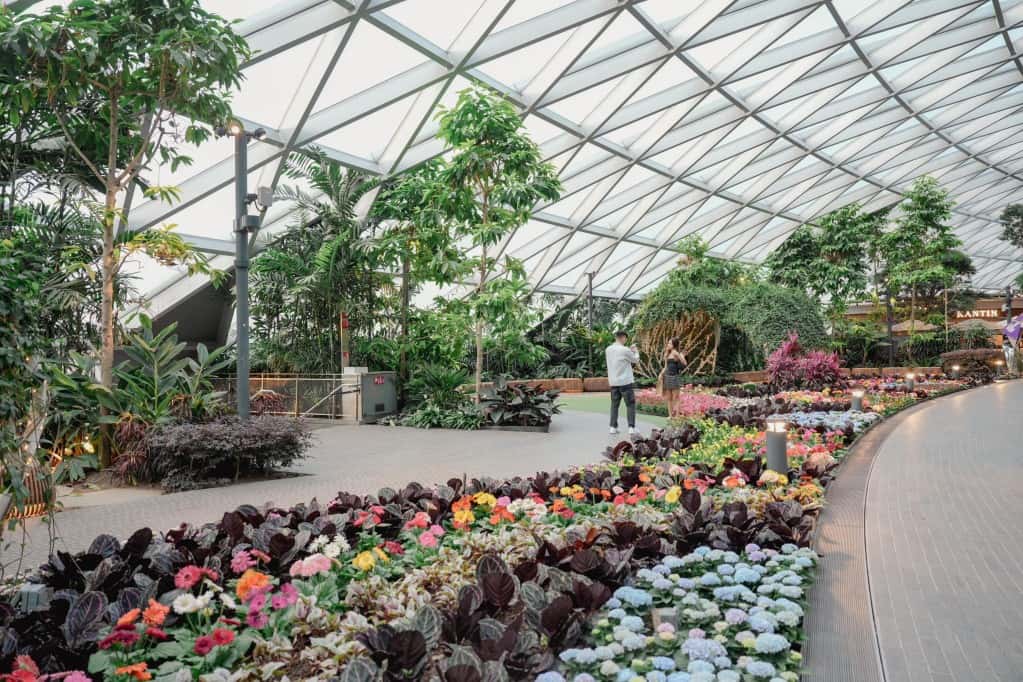 Jewel Changi Airport Attraction Tickets4