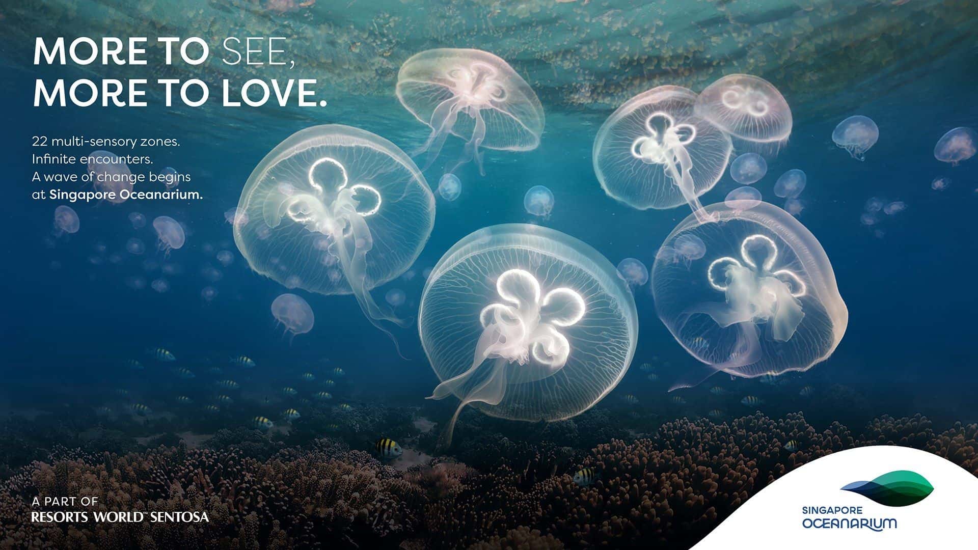 Singapore Oceanarium4