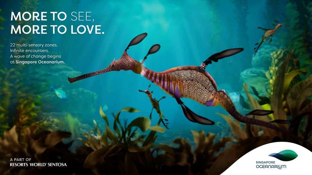 Singapore Oceanarium3