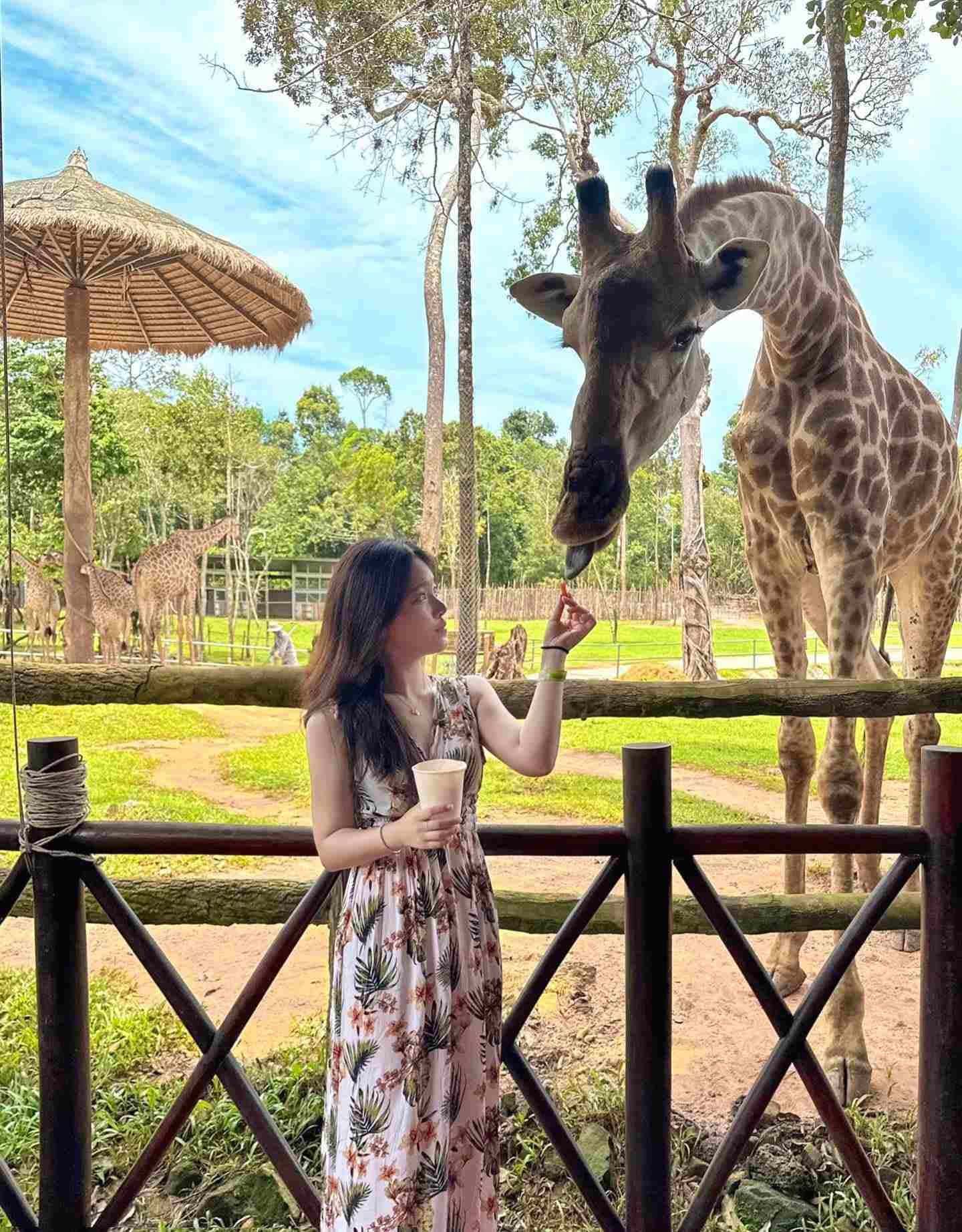 Vinpearl Safari Phu Quoc3