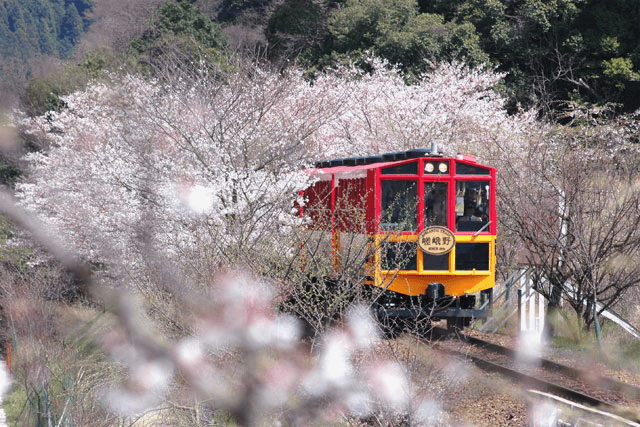 Arashiyama Half-Day Tour: Sagano Romantic Train, Hozugawa River Cruise & Horse Carriage Ride | Kyoto4