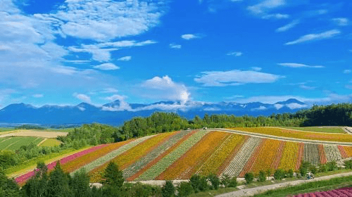 JR PASS : Hokkaido Rail Pass Sapporo-Noboribetsu or Sapporo-Furano Area Pass (E-Ticket)3