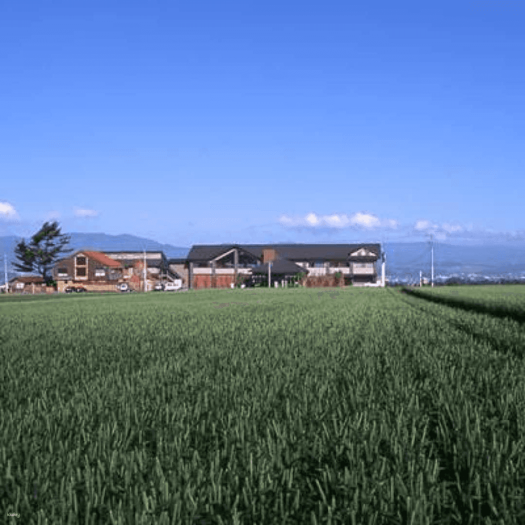 JR PASS : Hokkaido Rail Pass Sapporo-Noboribetsu or Sapporo-Furano Area Pass (E-Ticket)4