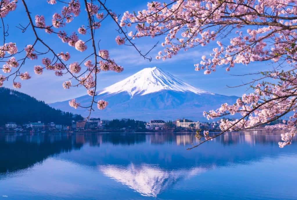 [Guaranteed Departure for Solo Travelers] Mt. Fuji 1-Day Tour from Shinjuku, Tokyo: Mt. Fuji 5th Station, Oshino Hakkai & Mt. Fuji Panoramic Ropeway | Japan4