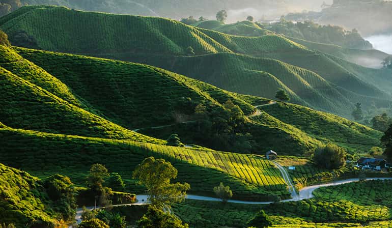 Malaysia Cameron Genting Odyssey 3Days 2Nights GOMY 85992