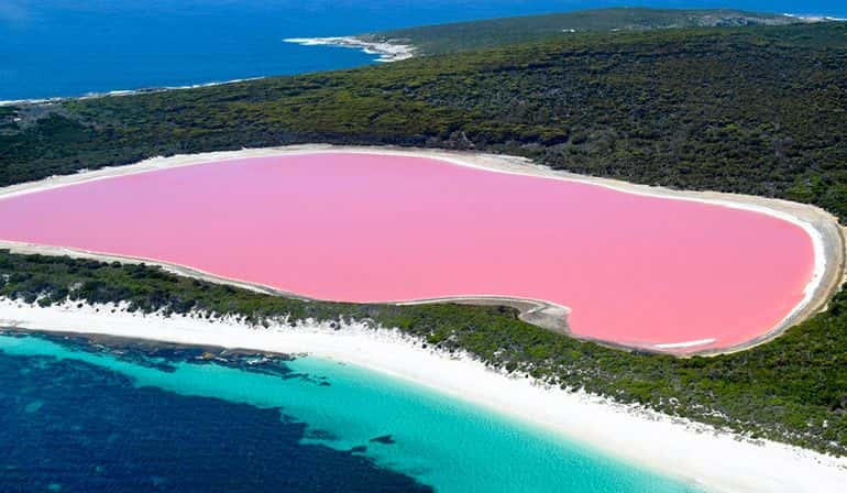 ทัวร์ออสเตรเลีย เพิร์ท พิงค์เลค เอเยอร์ส รอค เมลเบิร์น2