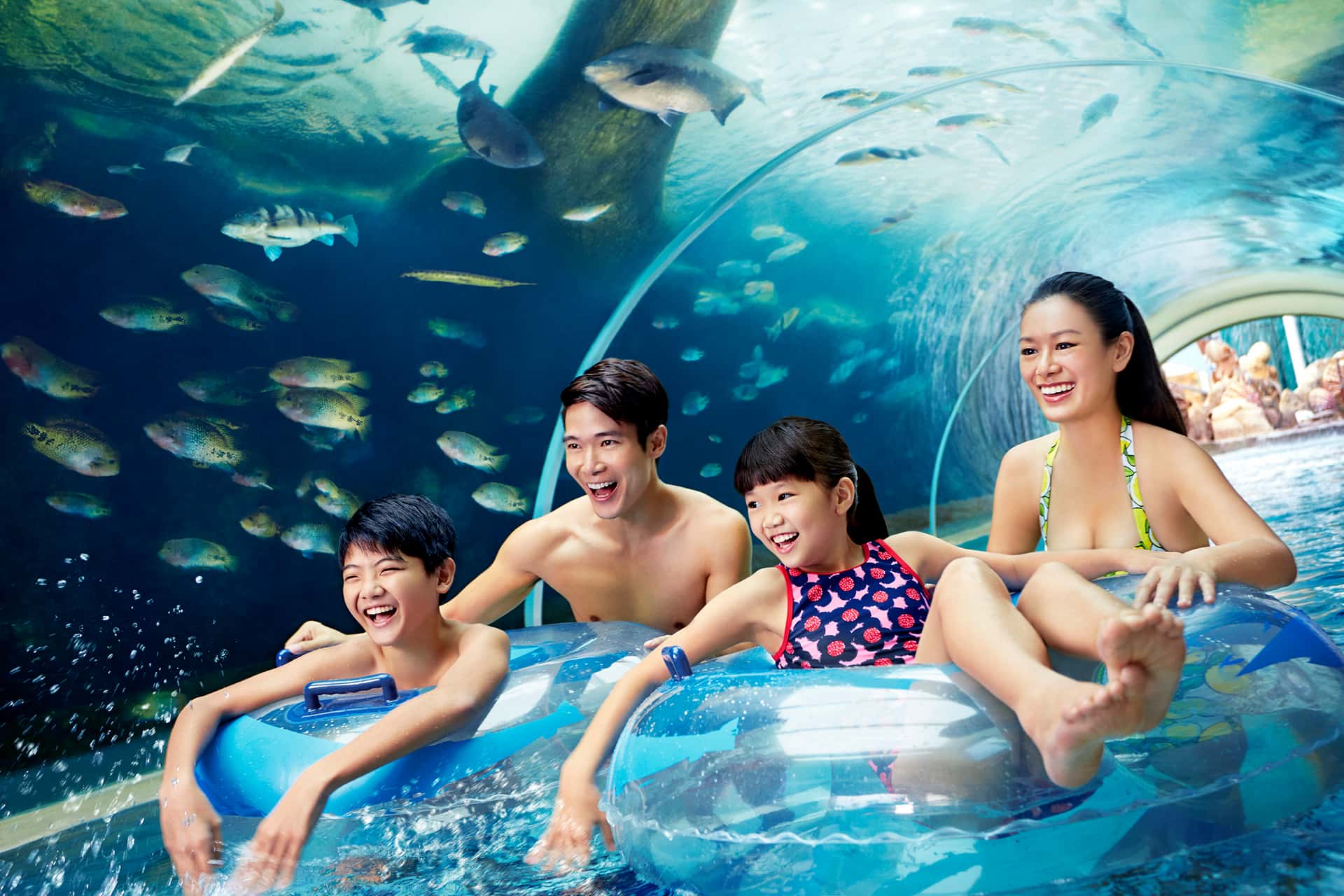 Adventure Cove Waterpark2