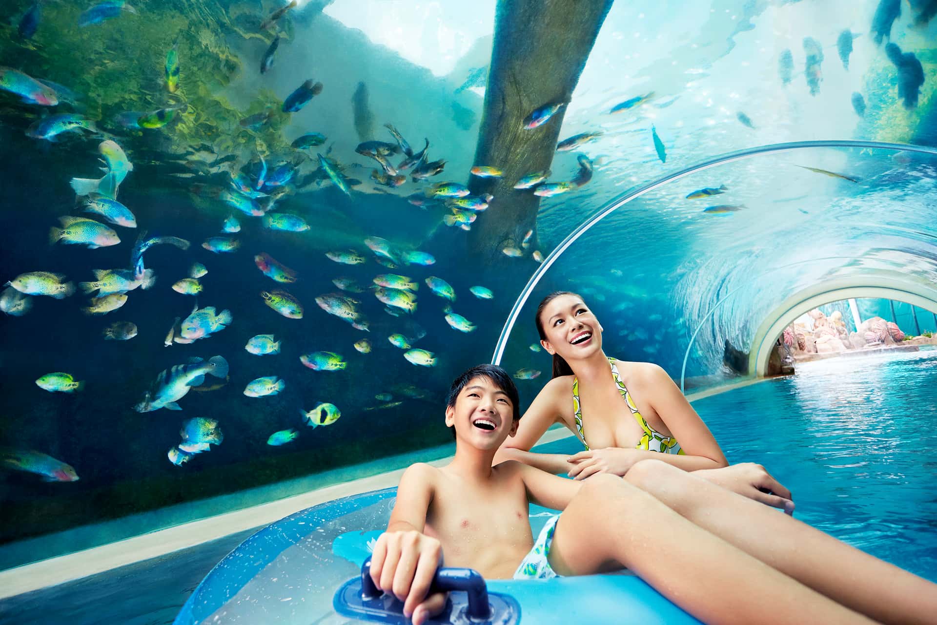 Adventure Cove Waterpark3