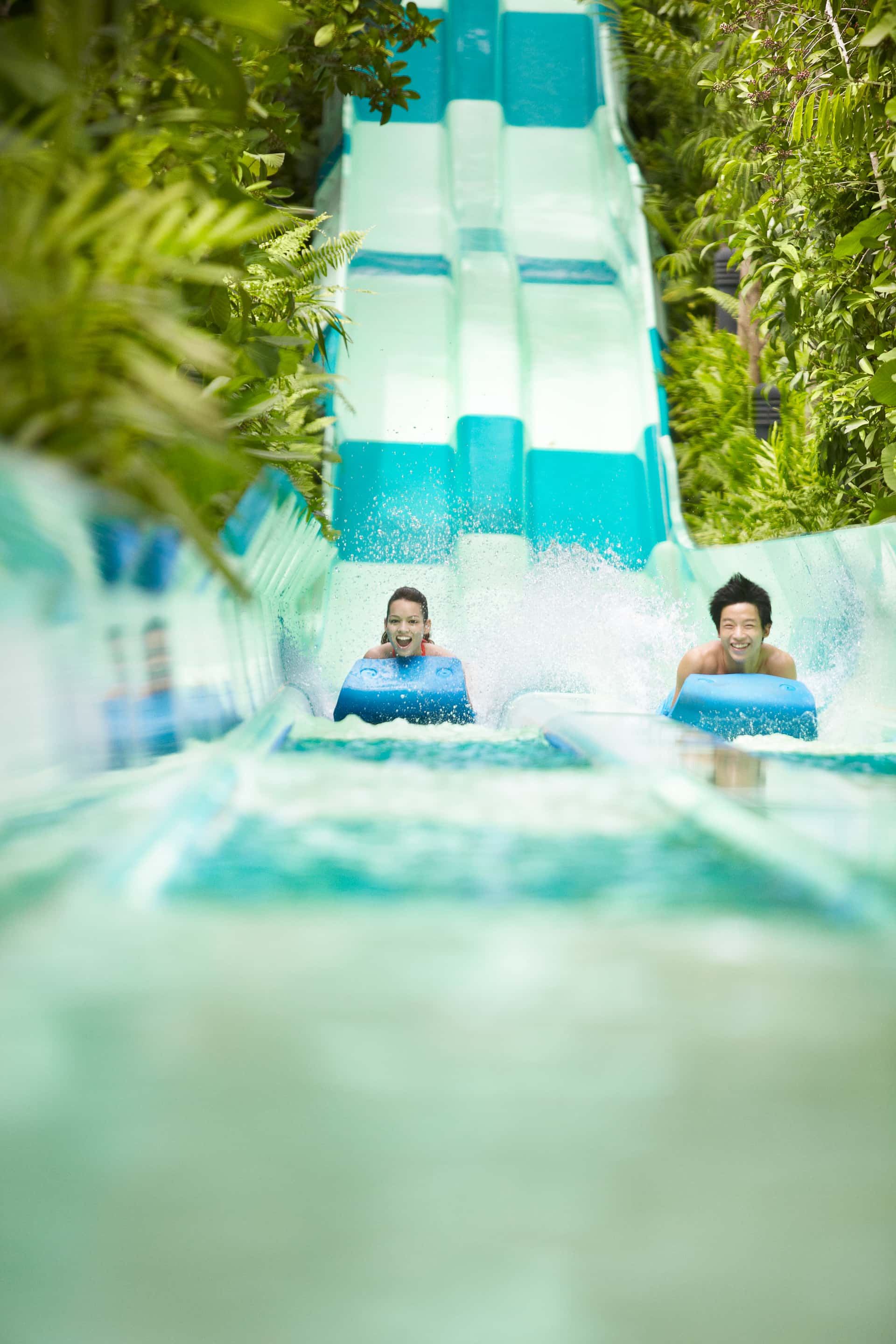 Adventure Cove Waterpark4