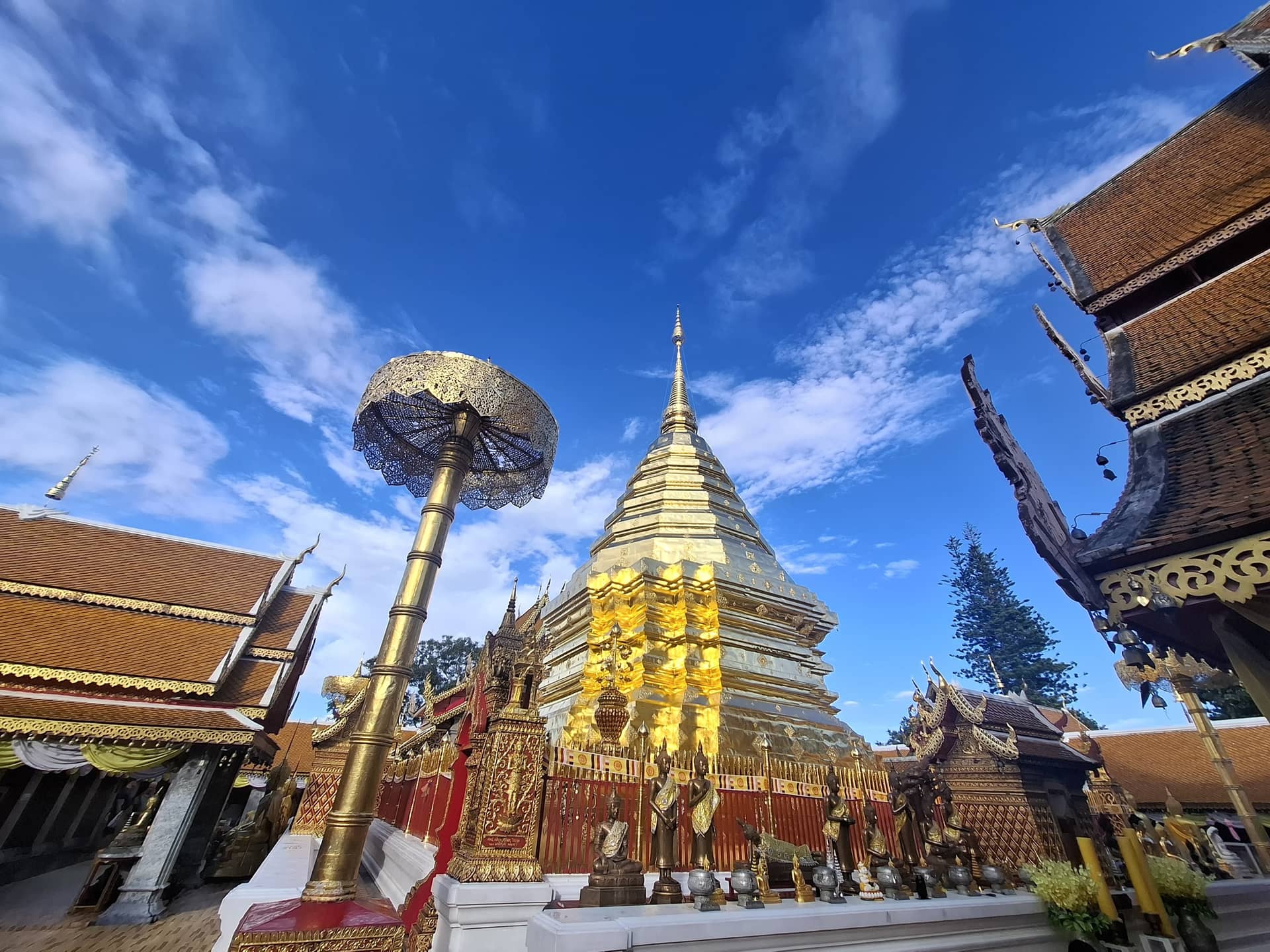 ทัวร์ดอยสุเทพ จิบชา พื้นถิ่น หมู่บ้านม้งดอยปุย Trips and Day Trips