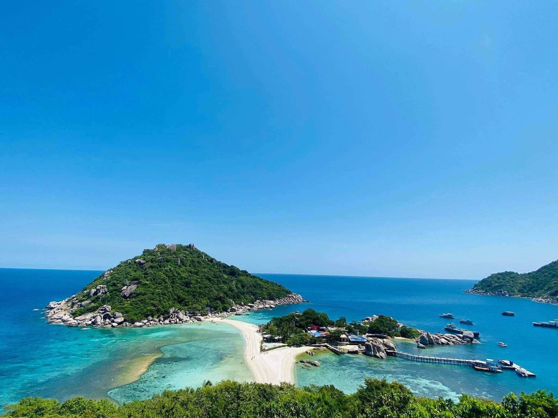 ทัวร์ดำน้ำเกาะเต่าและเกาะนางยวน โดยเรือสปีดโบ๊ท จากสมุย ทริปเที่ยว และเดย์ทริป