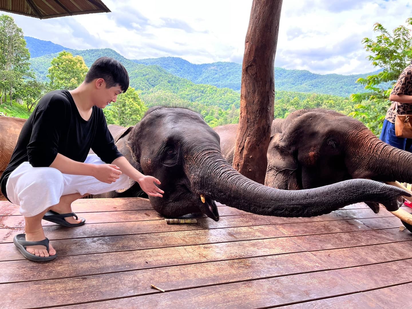 Good Vibes Journey: Elefin Farm&Cafe, Cypress Lanes + Baan Kang Wat Trips and Day Trips